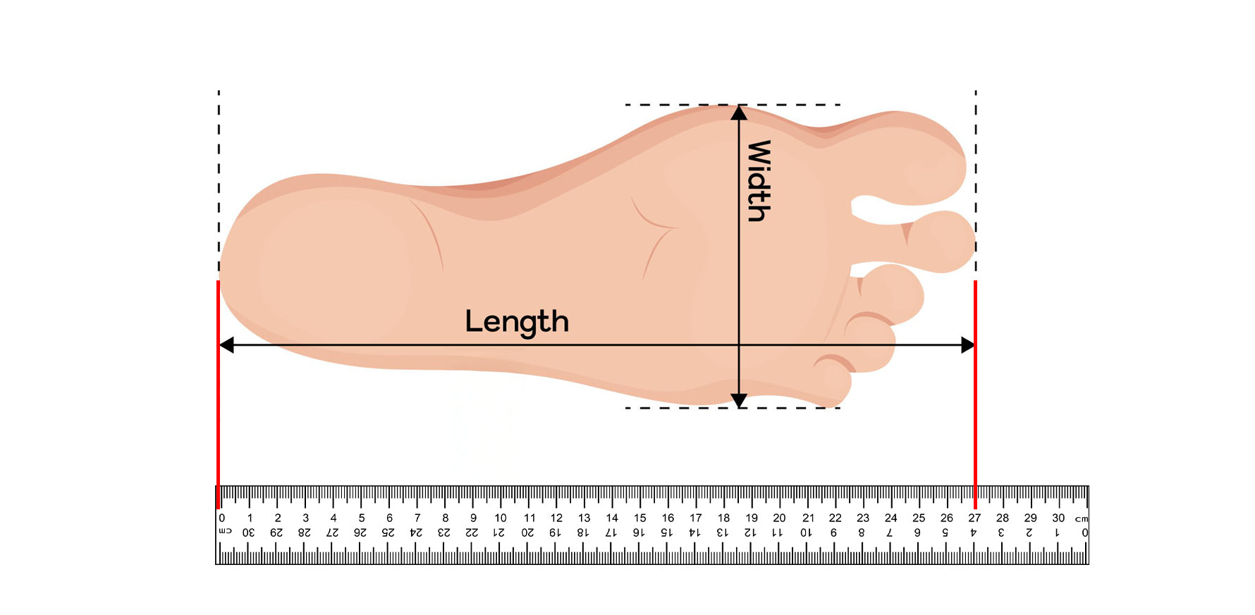 The Ultimate Shoe Fitting Guide – How to Measure Your Foot for a Perfect Fit